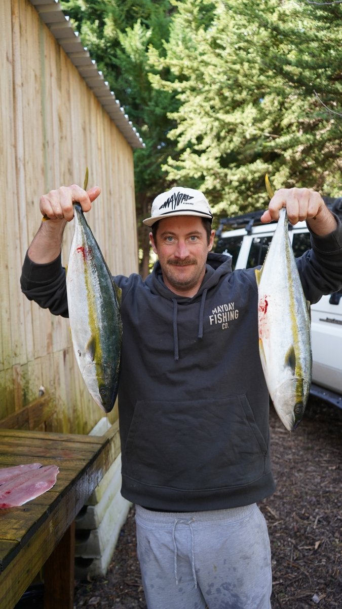 Bait ball Hoodie - Mayday Fishing